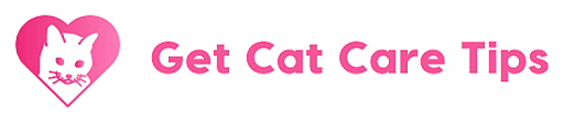 Get Cat Care Tips
